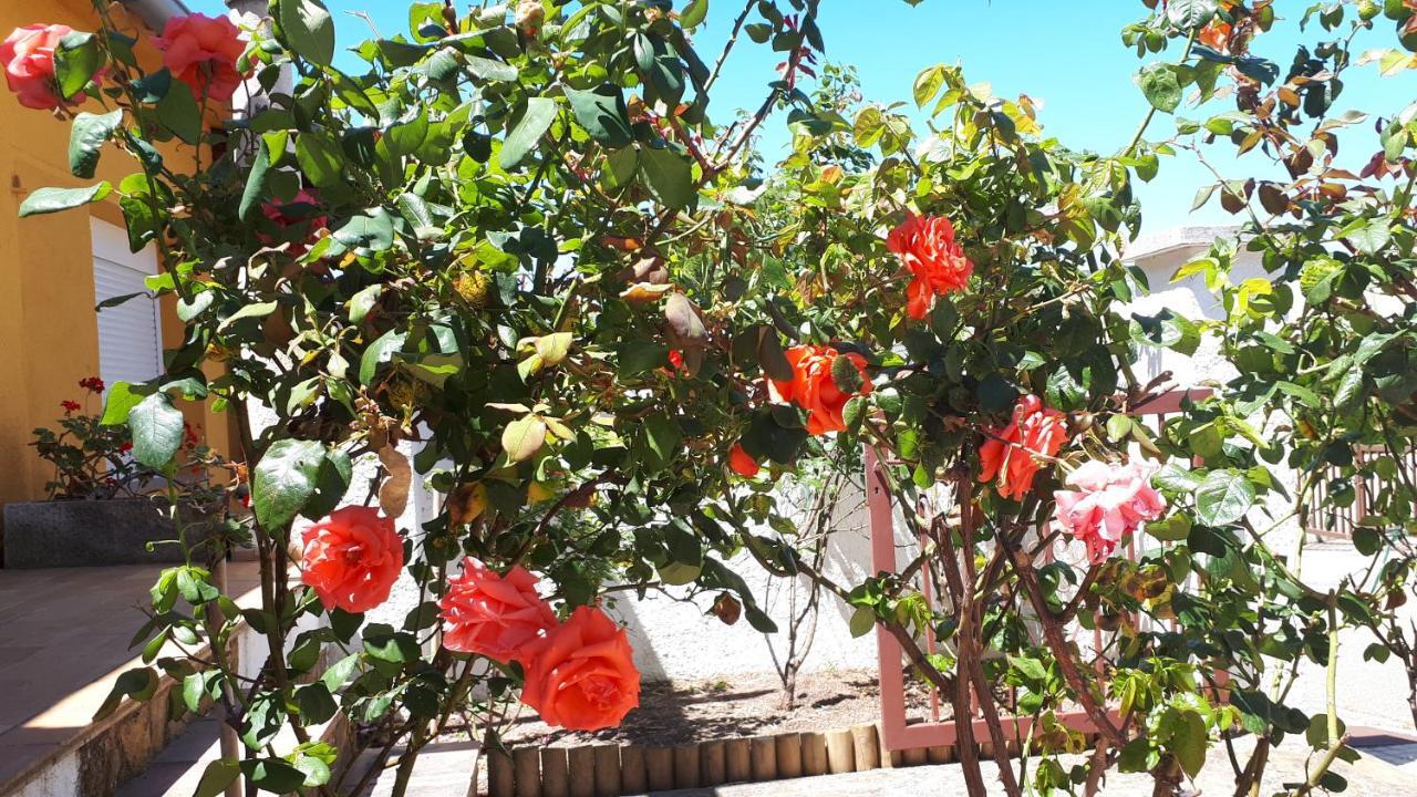 Casa Els Rosers Wifi เลสกาลา ภายนอก รูปภาพ